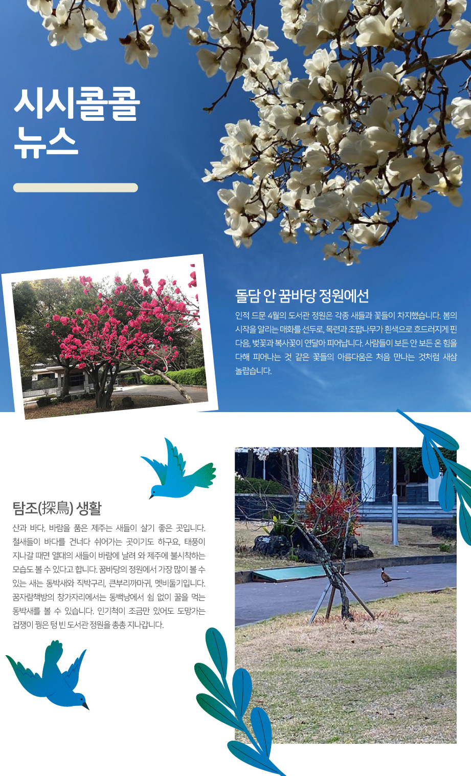 2020년 Spring 시시콜콜 뉴스