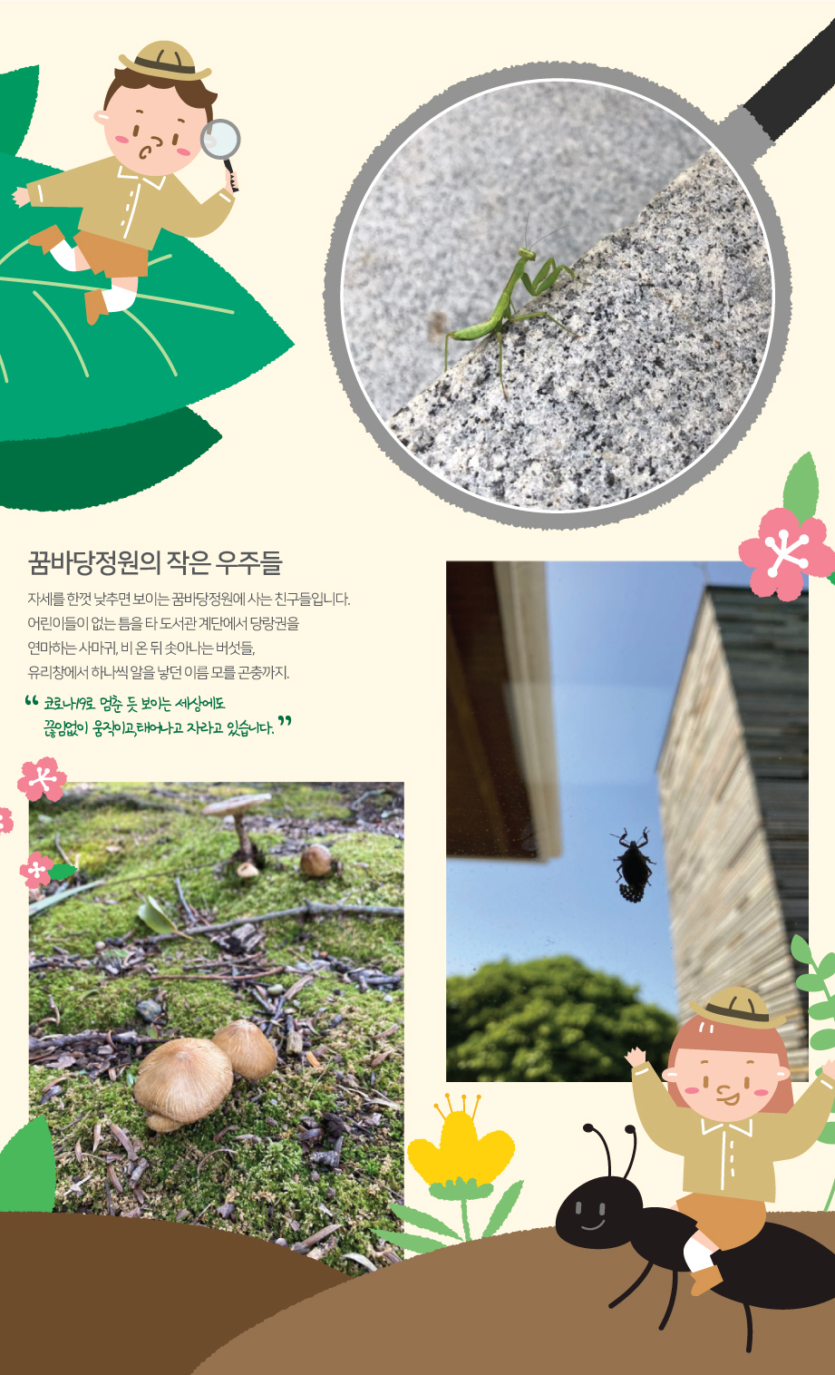 2020년 Fall 시시콜콜 뉴스 