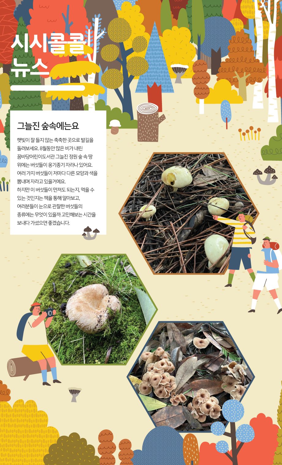 2021년 9월 시시콜콜 뉴스