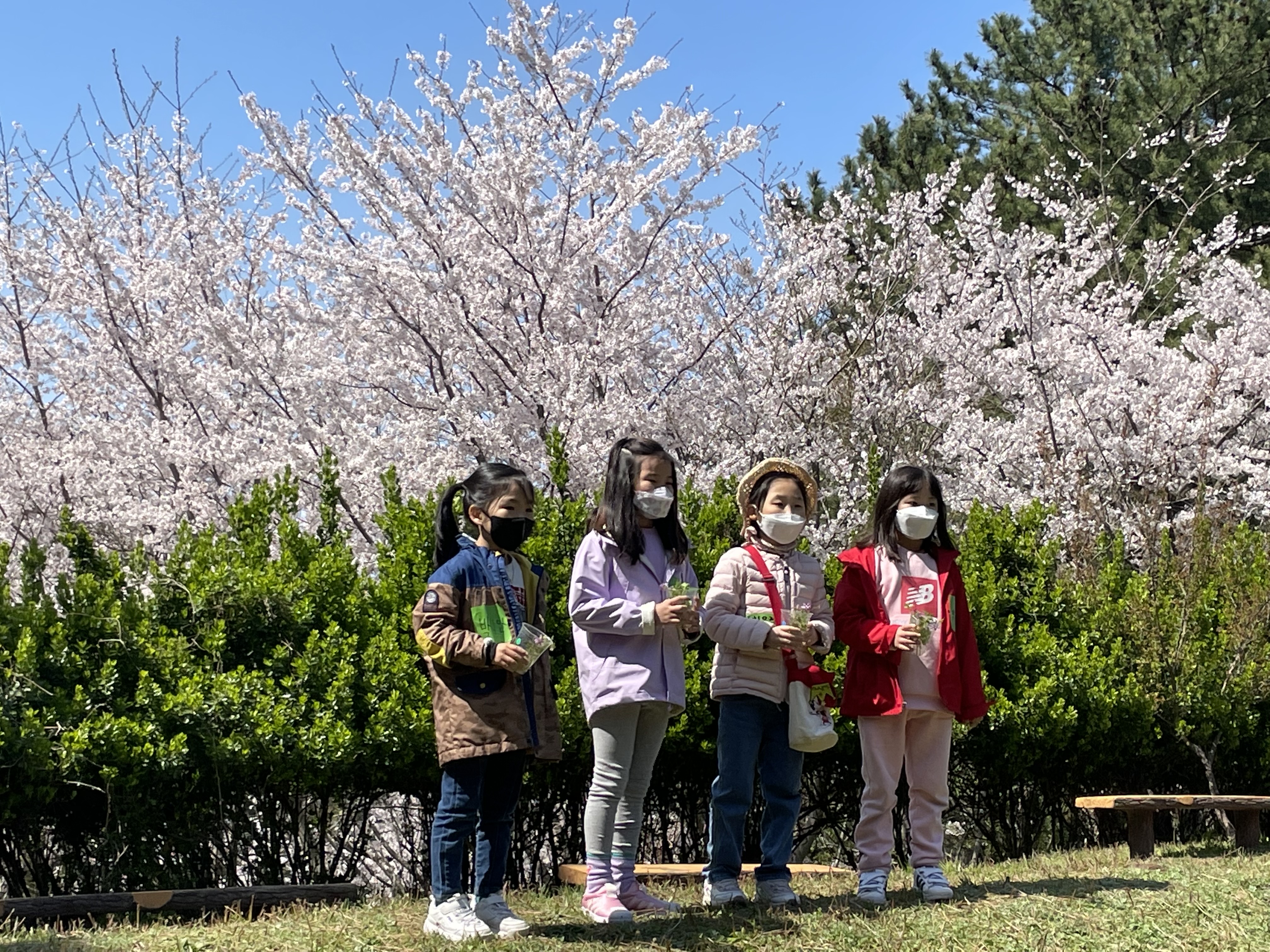 4월 특별 프로그램 _ 봄, 오름 1